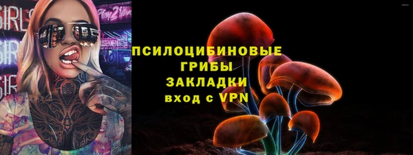 спайс Алзамай