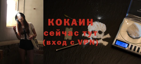 спайс Алзамай